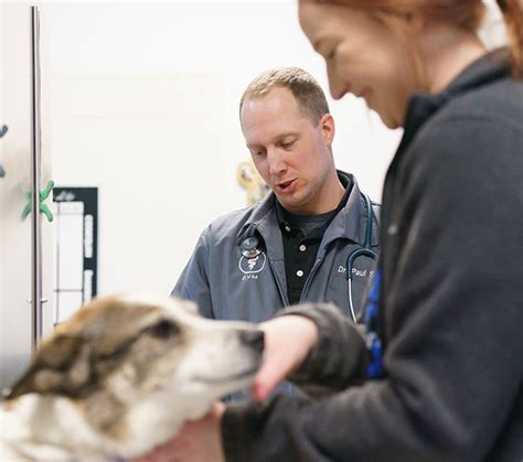 mobile veterinarians omaha ne.